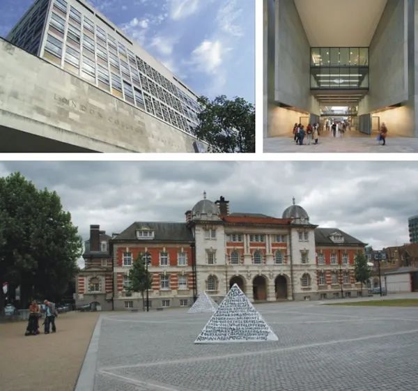 “羊了个羊”你通关了吗？休闲区蓝鸢梦想 - Www.slyday.coM