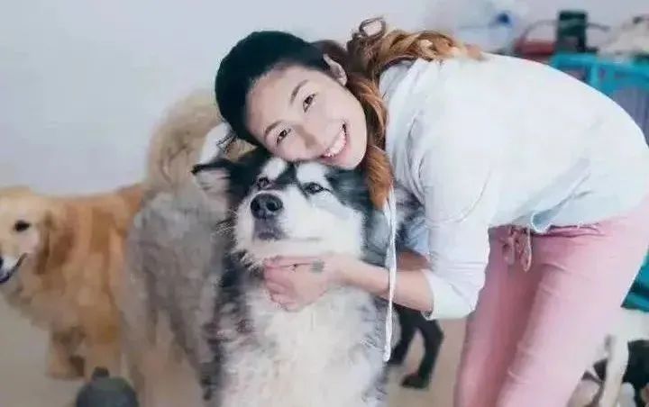 一场烧了五天五夜的山火，看主人和狗狗们如何极限求生！休闲区蓝鸢梦想 - Www.slyday.coM