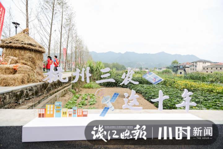 稻花香里说丰年！中国农民丰收节杭州主场活动出街，1000万元消费券线上发放休闲区蓝鸢梦想 - Www.slyday.coM