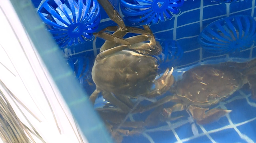 大家都爱的美食，终于等到开卖了！但价格会上涨30%左右休闲区蓝鸢梦想 - Www.slyday.coM