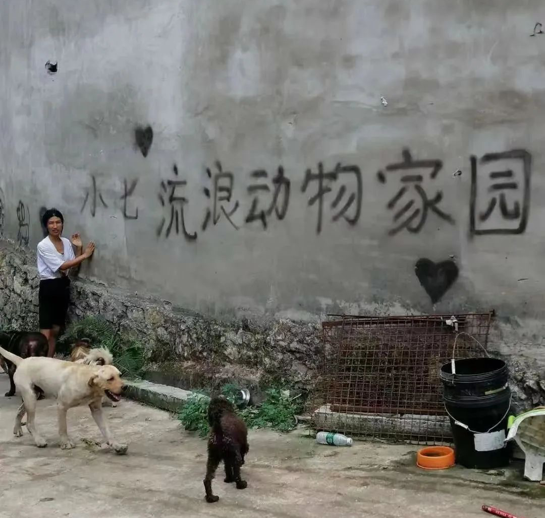 一场烧了五天五夜的山火，看主人和狗狗们如何极限求生！休闲区蓝鸢梦想 - Www.slyday.coM