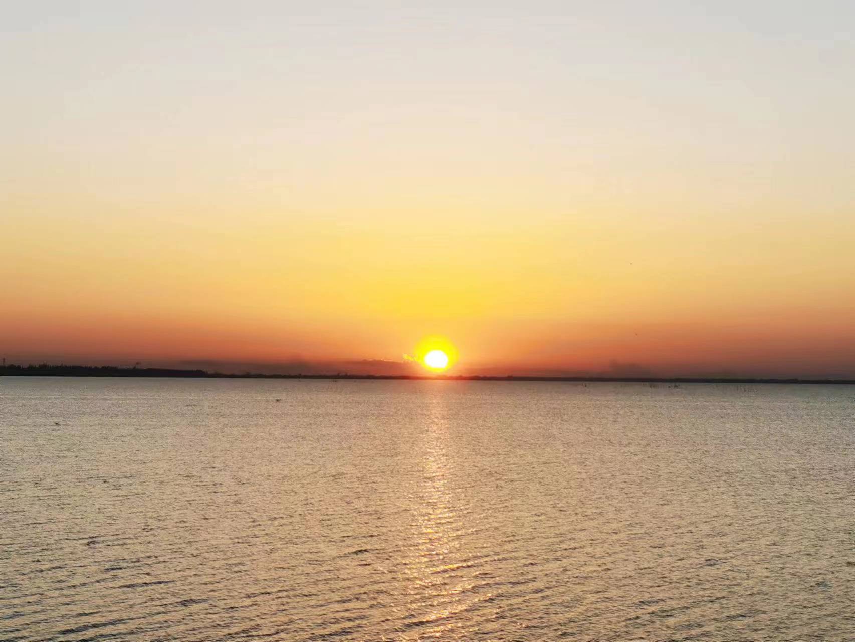 今夏高温会影响上海大闸蟹品质吗？专家：崇明清水蟹产量可达100万斤，“咸鲜香”风味俱佳休闲区蓝鸢梦想 - Www.slyday.coM