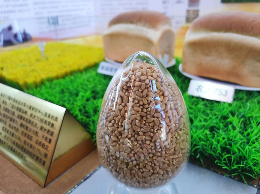 买麦柯斯十大忠告