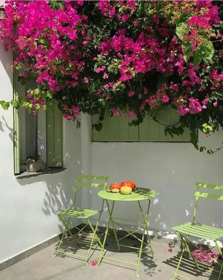 被大众所喜欢的庭院，是这样的吧~休闲区蓝鸢梦想 - Www.slyday.coM