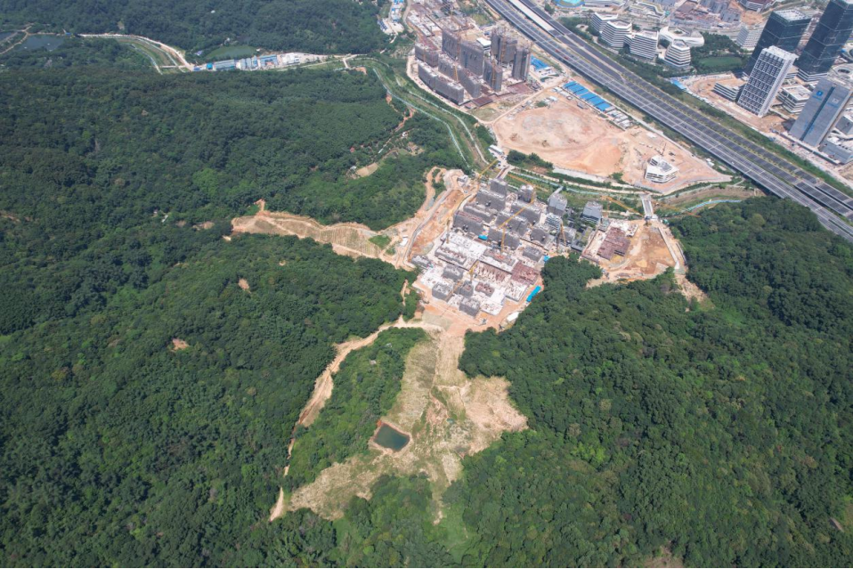 这可能是今年最好的大平层豪宅|豪宅|大平层|户型_新浪新闻