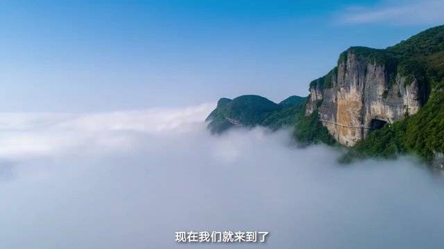 跟着"金花"去打探金佛山金龟朝阳__财经头条