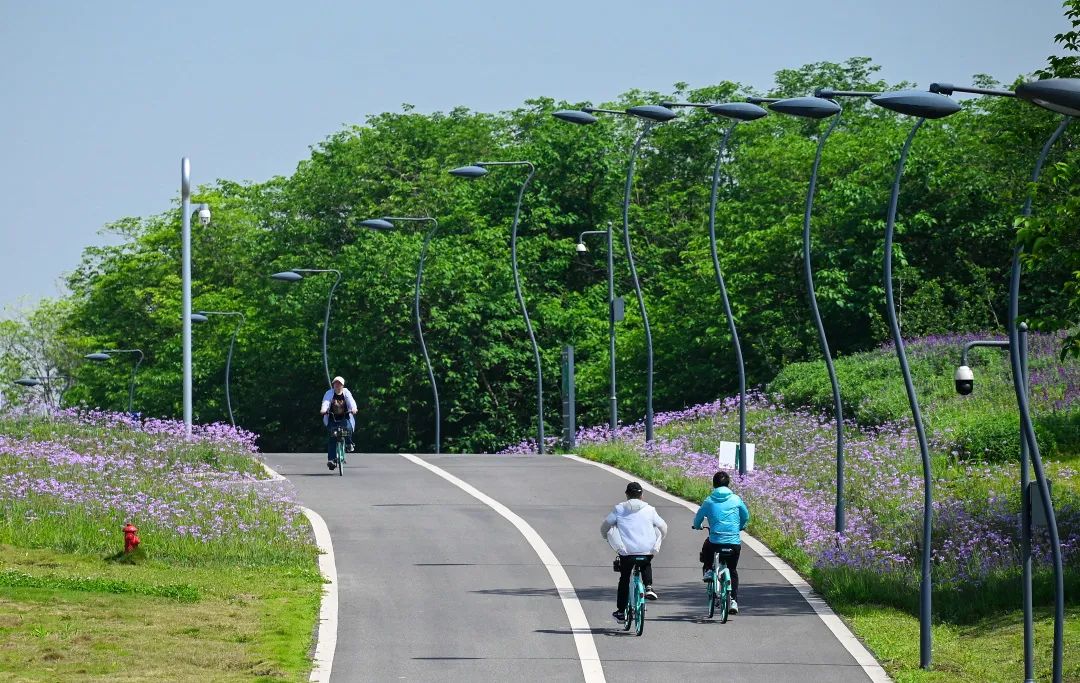 热血回归！以燃烧的城市运动基因休闲区蓝鸢梦想 - Www.slyday.coM