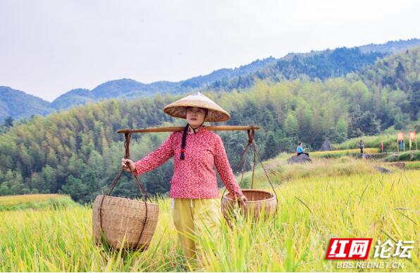 将房屋建在岩板中，这地方每一处风景都长在我的审美上休闲区蓝鸢梦想 - Www.slyday.coM