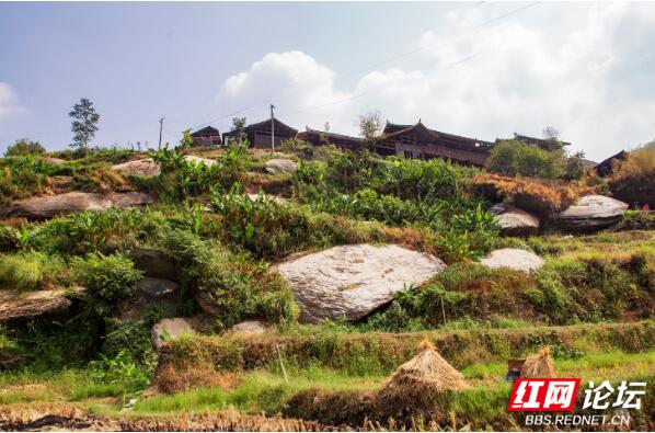 将房屋建在岩板中，这地方每一处风景都长在我的审美上休闲区蓝鸢梦想 - Www.slyday.coM