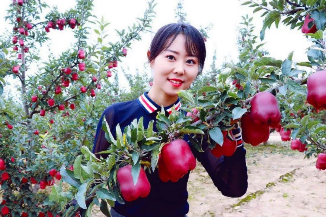 来自深山里的花花牛，入口香甜软糯，价格实惠，比蛇果要好一百倍！休闲区蓝鸢梦想 - Www.slyday.coM