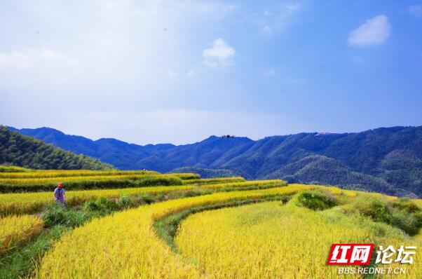 将房屋建在岩板中，这地方每一处风景都长在我的审美上休闲区蓝鸢梦想 - Www.slyday.coM