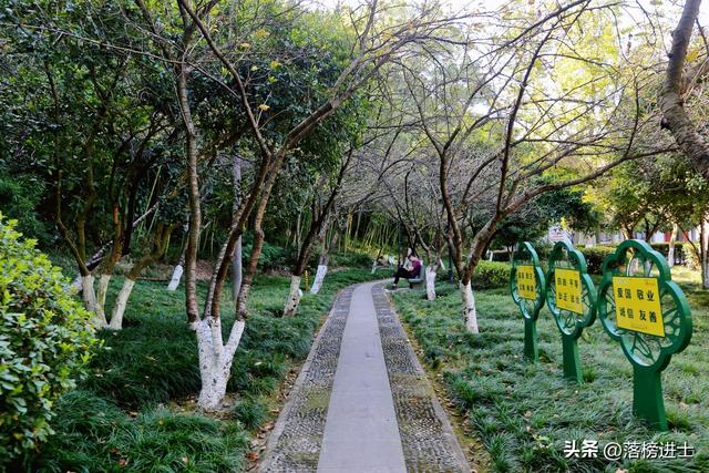 杭州建德有一座白沙公园，环境秀美，是市民休闲散心的好去处休闲区蓝鸢梦想 - Www.slyday.coM