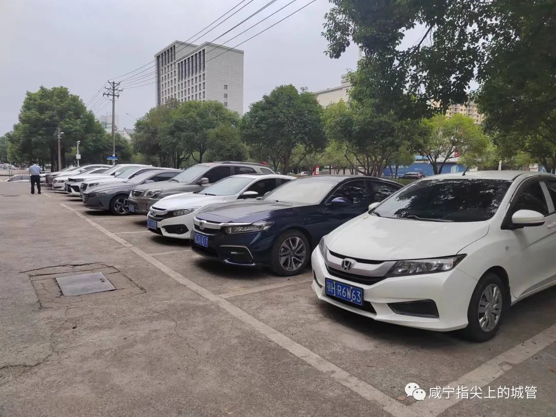 停车红黑榜休闲区蓝鸢梦想 - Www.slyday.coM