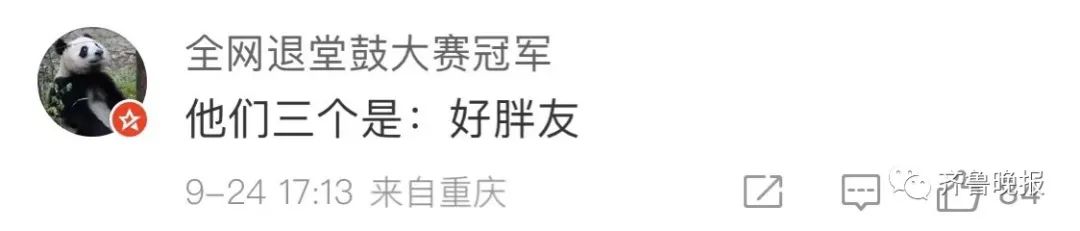 “XL、XXL、XXXL”济南趵突泉3只胖锦鲤同框！网友：饭搭子出游了？休闲区蓝鸢梦想 - Www.slyday.coM