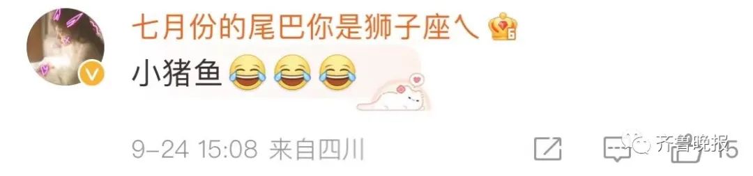 “XL、XXL、XXXL”济南趵突泉3只胖锦鲤同框！网友：饭搭子出游了？休闲区蓝鸢梦想 - Www.slyday.coM