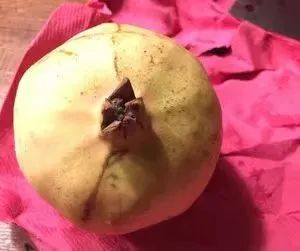 它是医生眼中的“血管清洁工”，常吃心梗、中风都跑远！9月正上市，错过要再等一年休闲区蓝鸢梦想 - Www.slyday.coM