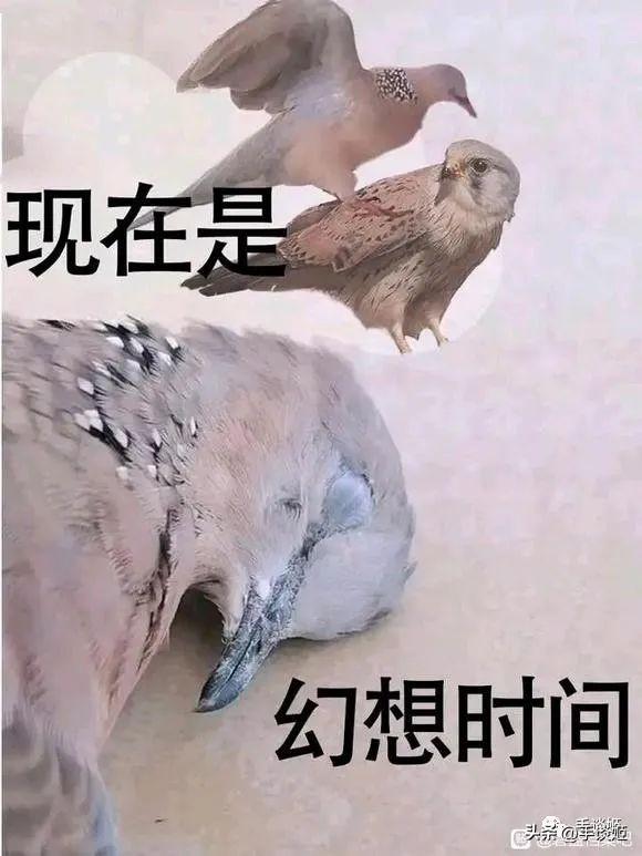 Kaedim在数字艺术和游戏产业中的重要角色