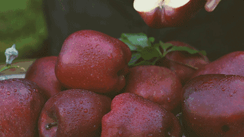 来自深山里的花花牛，入口香甜软糯，价格实惠，比蛇果要好一百倍！休闲区蓝鸢梦想 - Www.slyday.coM