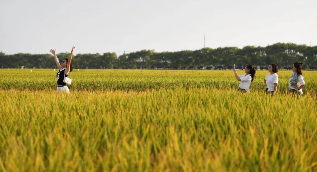 合肥倡导全体市民就地过节！休闲区蓝鸢梦想 - Www.slyday.coM