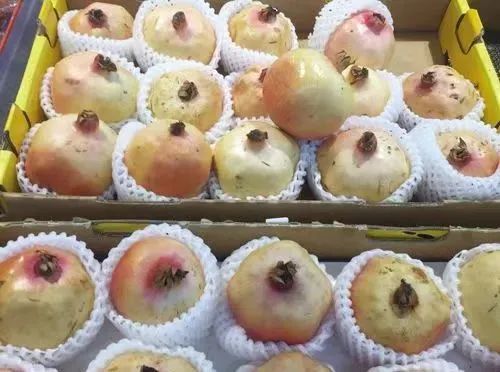 它是医生眼中的“血管清洁工”，常吃心梗、中风都跑远！9月正上市，错过要再等一年休闲区蓝鸢梦想 - Www.slyday.coM