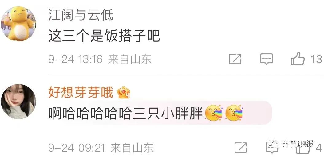 “XL、XXL、XXXL”济南趵突泉3只胖锦鲤同框！网友：饭搭子出游了？休闲区蓝鸢梦想 - Www.slyday.coM