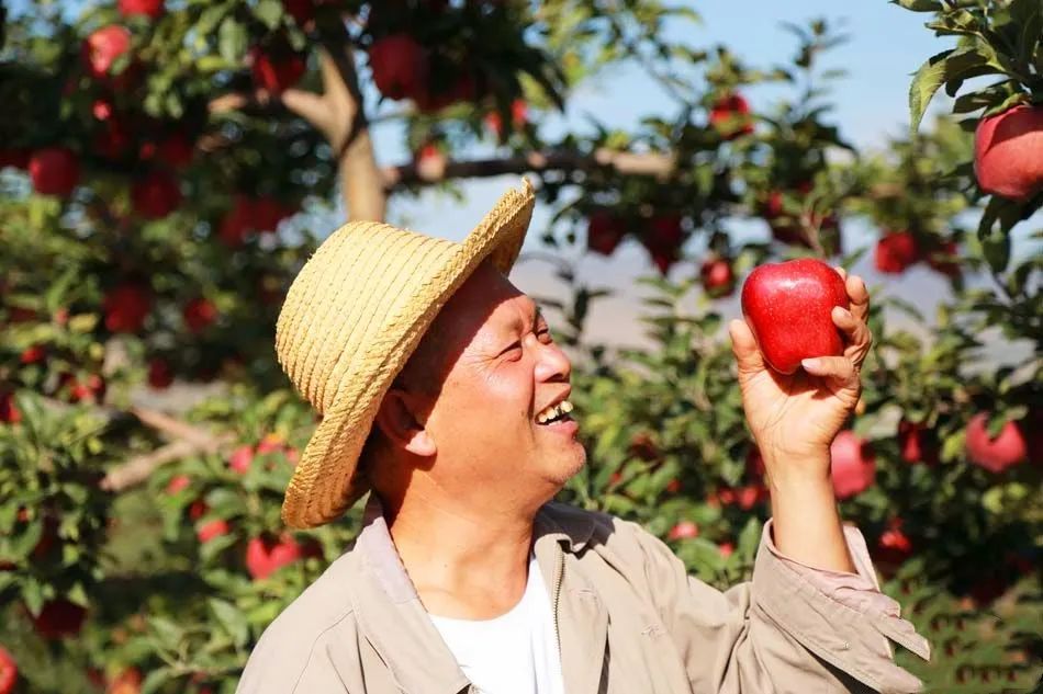 来自深山里的花花牛，入口香甜软糯，价格实惠，比蛇果要好一百倍！休闲区蓝鸢梦想 - Www.slyday.coM