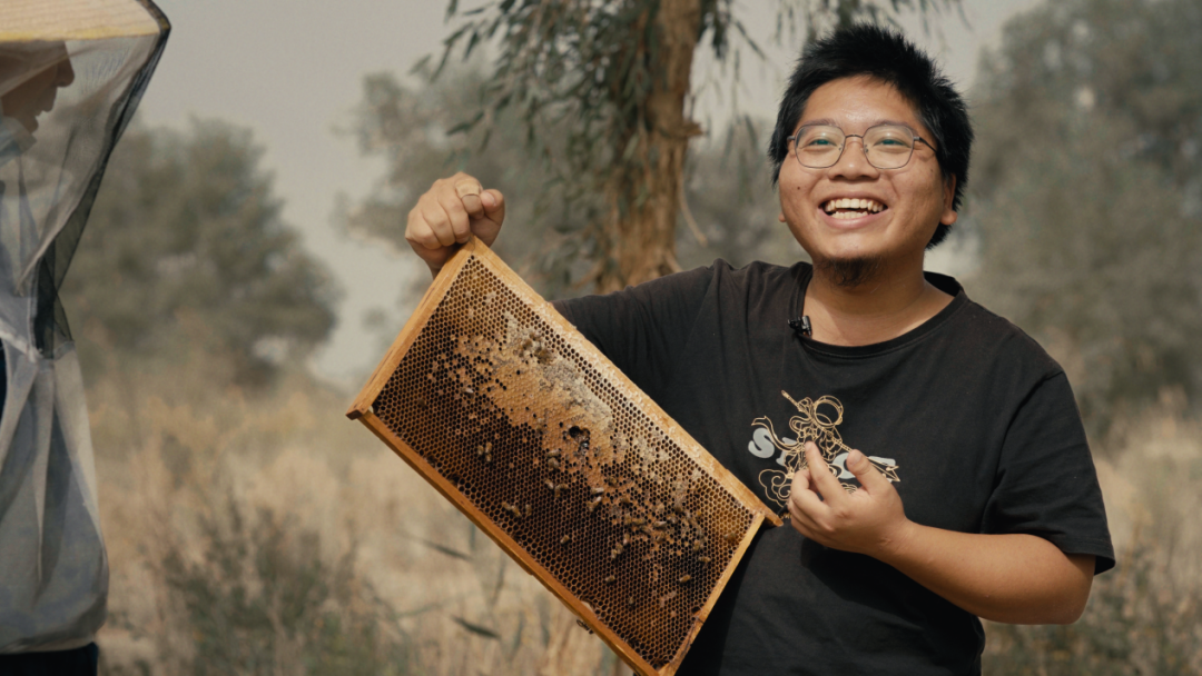 有蜜、有羊、有果香，丰收节里看新疆休闲区蓝鸢梦想 - Www.slyday.coM