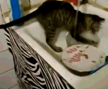 猫:“你养我不是因为喜欢我,而是为了利用我!”休闲区蓝鸢梦想 - Www.slyday.coM 猫:“你养我不是因为喜欢我,而是为了利用我!”休闲区蓝鸢梦想 - Www.slyday.coM