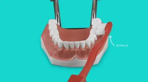 男子不到40岁，牙齿竟然全掉光！这个坏习惯很多人都有休闲区蓝鸢梦想 - Www.slyday.coM