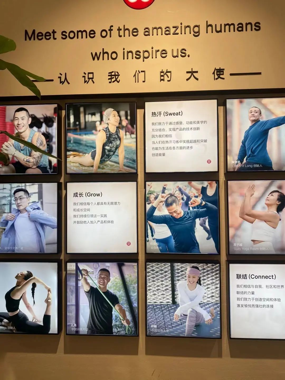 有多少人硕士毕业后，去lululemon卖瑜伽裤休闲区蓝鸢梦想 - Www.slyday.coM