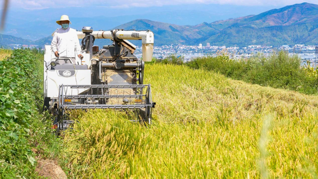 “镜头下的西昌”主题摄影作品展播（一）丰收的喜悦休闲区蓝鸢梦想 - Www.slyday.coM