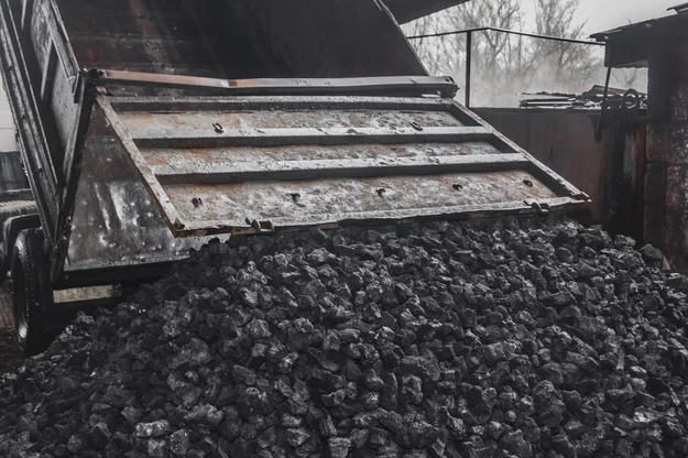 波兰现多起煤炭诈骗案 有人买到染成黑色的石头