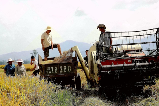 “镜头下的西昌”主题摄影作品展播（一）丰收的喜悦休闲区蓝鸢梦想 - Www.slyday.coM