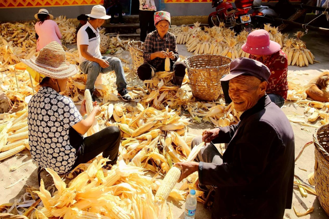 “镜头下的西昌”主题摄影作品展播（一）丰收的喜悦休闲区蓝鸢梦想 - Www.slyday.coM