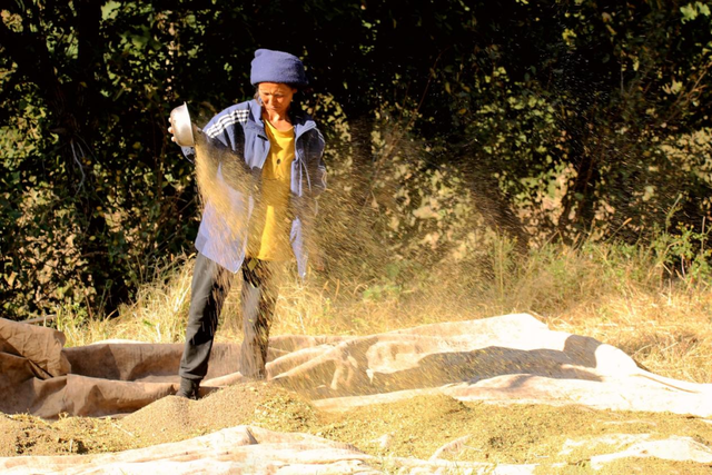 “镜头下的西昌”主题摄影作品展播（一）丰收的喜悦休闲区蓝鸢梦想 - Www.slyday.coM