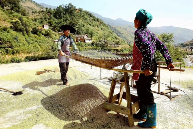 “镜头下的西昌”主题摄影作品展播（一）丰收的喜悦休闲区蓝鸢梦想 - Www.slyday.coM