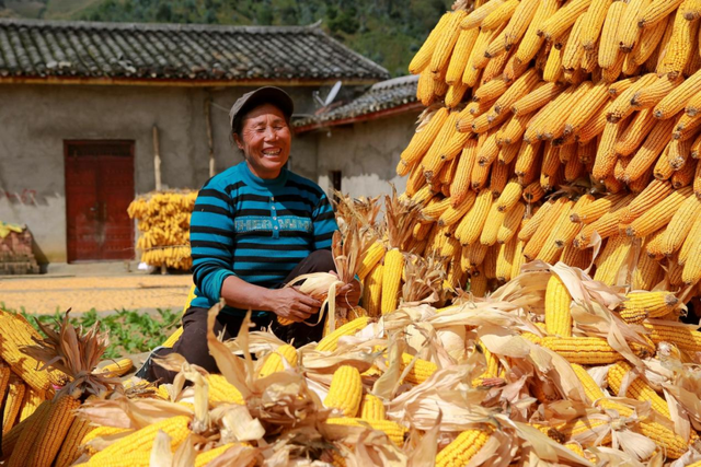 “镜头下的西昌”主题摄影作品展播（一）丰收的喜悦休闲区蓝鸢梦想 - Www.slyday.coM