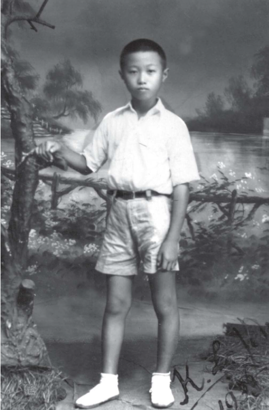 任溶溶：每一个人都有自己的小时候休闲区蓝鸢梦想 - Www.slyday.coM