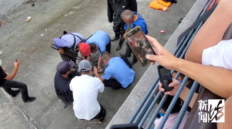 黄浦江里的鳄鱼终于抓到了！围观群众：怎么有点可爱？休闲区蓝鸢梦想 - Www.slyday.coM