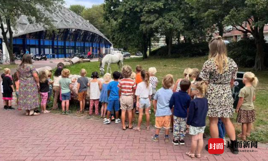 “从欧洲骑马回国”男子红了后突然道歉：人在山西，之前所有都是假的，想征婚休闲区蓝鸢梦想 - Www.slyday.coM