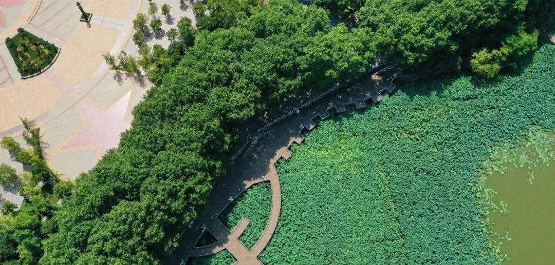 厚植生态优势，描绘绿色浔阳！看浔阳区如何让绿色成为高质量跨越式发展的最亮底色休闲区蓝鸢梦想 - Www.slyday.coM