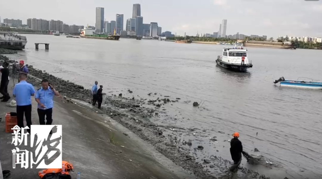 黄浦江里的鳄鱼终于抓到了！围观群众：怎么有点可爱？休闲区蓝鸢梦想 - Www.slyday.coM