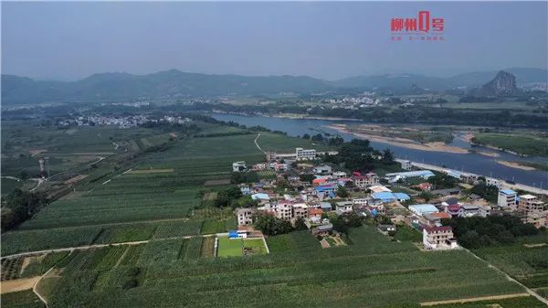 明明能当官，他却要当老师！这个柳州仔写的字广东人都要围观休闲区蓝鸢梦想 - Www.slyday.coM