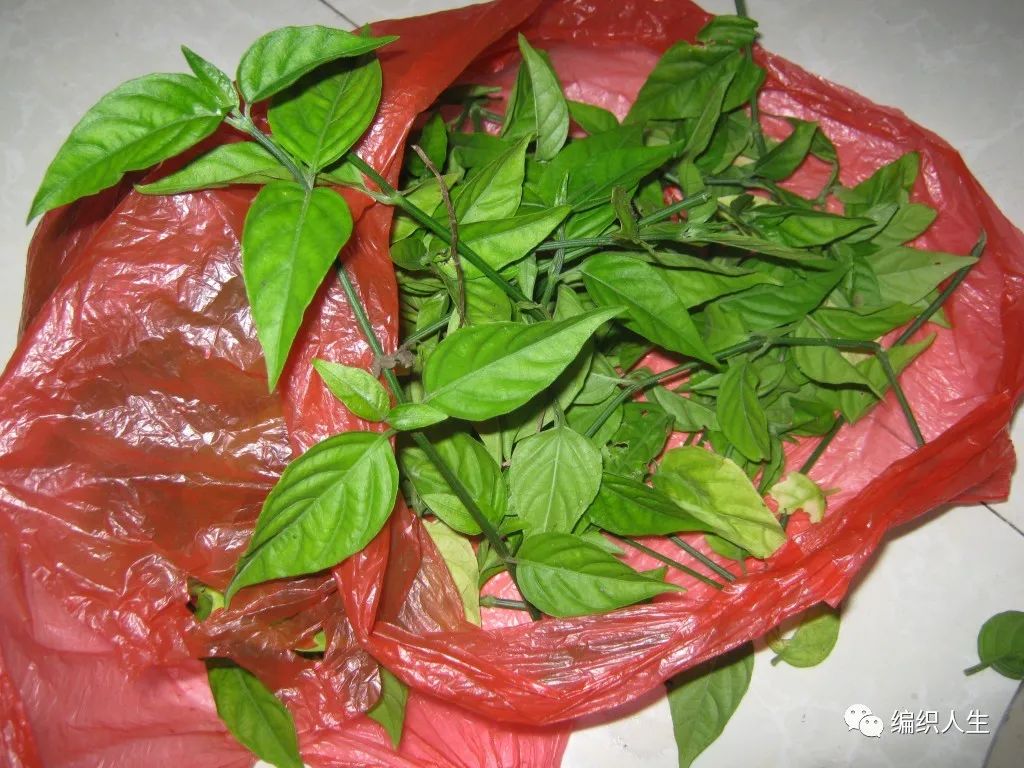 原来还可以这样，她用传统饮食文化中的一味染出了充满古韵的心仪线色休闲区蓝鸢梦想 - Www.slyday.coM