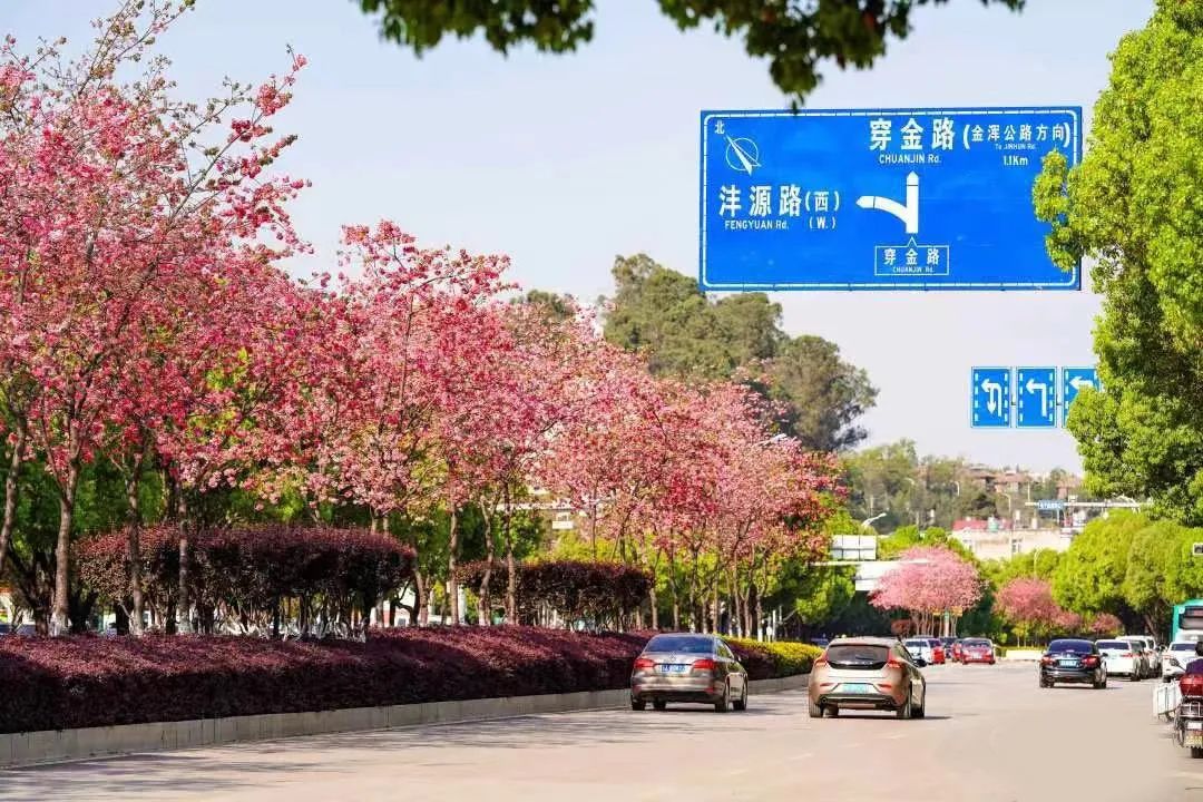 【寻美云南·昆明·盘龙】哎呀！盘龙区的道路名CP有点好嗑啊~休闲区蓝鸢梦想 - Www.slyday.coM