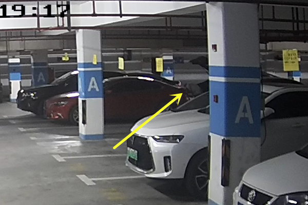 车牌一夜间“沪C1”变“沪0T”，原是被人“整了活”休闲区蓝鸢梦想 - Www.slyday.coM