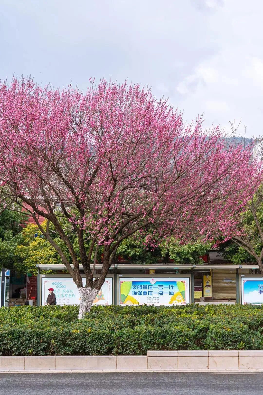 【寻美云南·昆明·盘龙】哎呀！盘龙区的道路名CP有点好嗑啊~休闲区蓝鸢梦想 - Www.slyday.coM