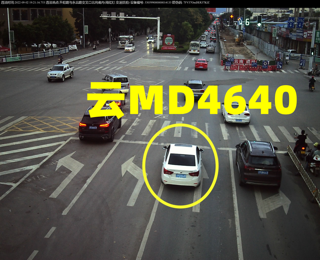 又双叒......有驾驶人压实线了！看看你上榜没休闲区蓝鸢梦想 - Www.slyday.coM