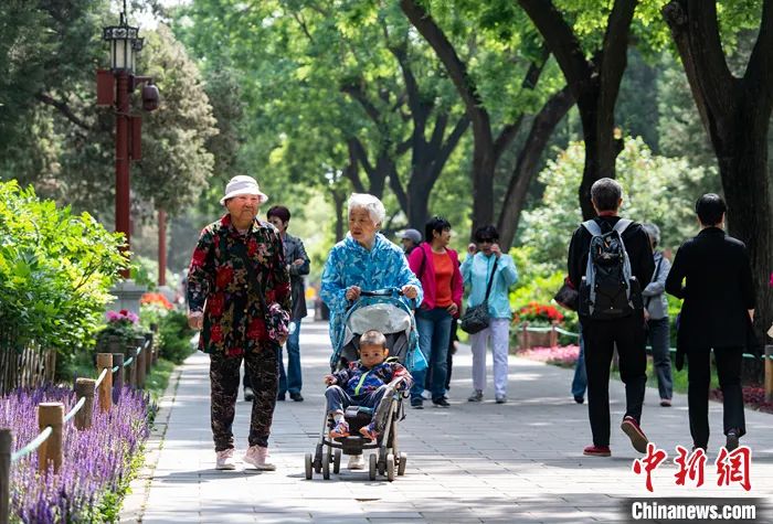2021年5月11日，老人在北京景山公园内散步。中新社记者 侯宇 摄   