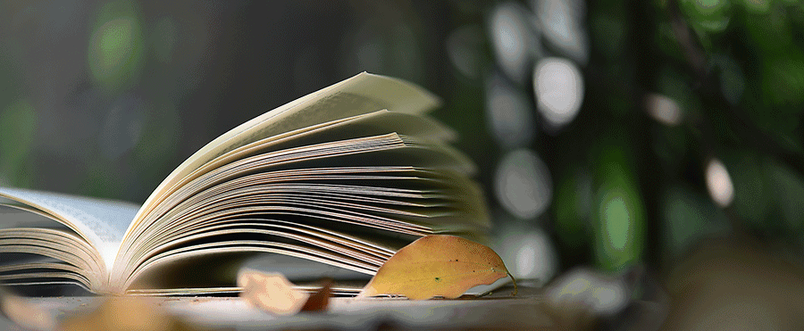 “四大美人”中的杨玉环到底有多美？休闲区蓝鸢梦想 - Www.slyday.coM